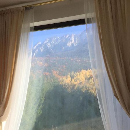 Villa & Spa 4Temporadas - Plaiul Foii Zărneşti エクステリア 写真
